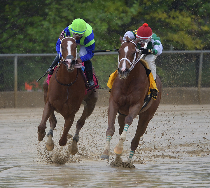 Ms Locust Point finishes third in the Skipat Stakes