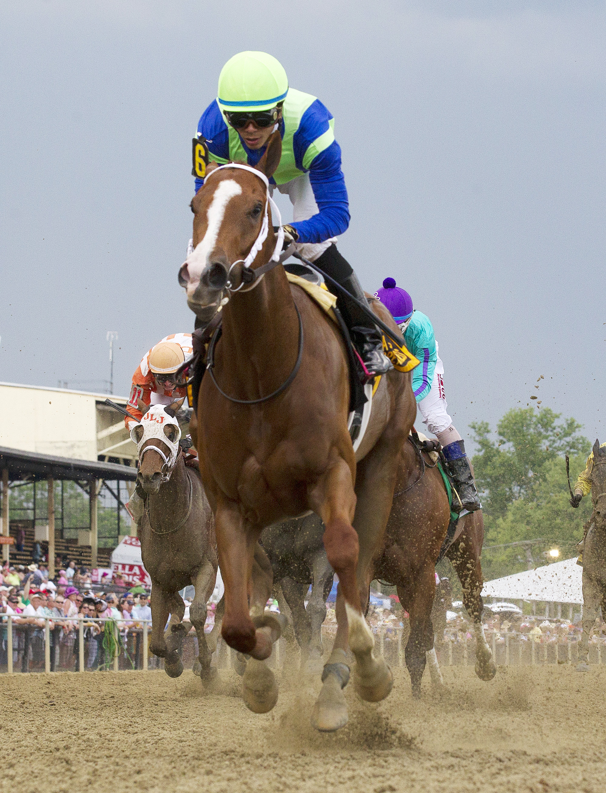Vertical Oak wins the Miss Preakness