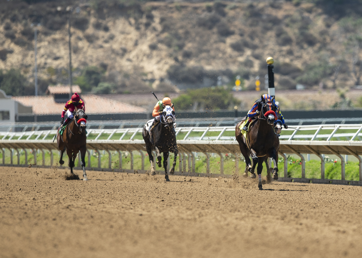 Vertical Threat wins Smiling Tiger 7-25-2020