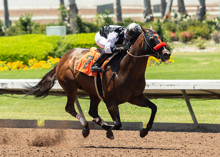 Vertical Threat wins a June 27 maiden race at Los Alamitos Race Course