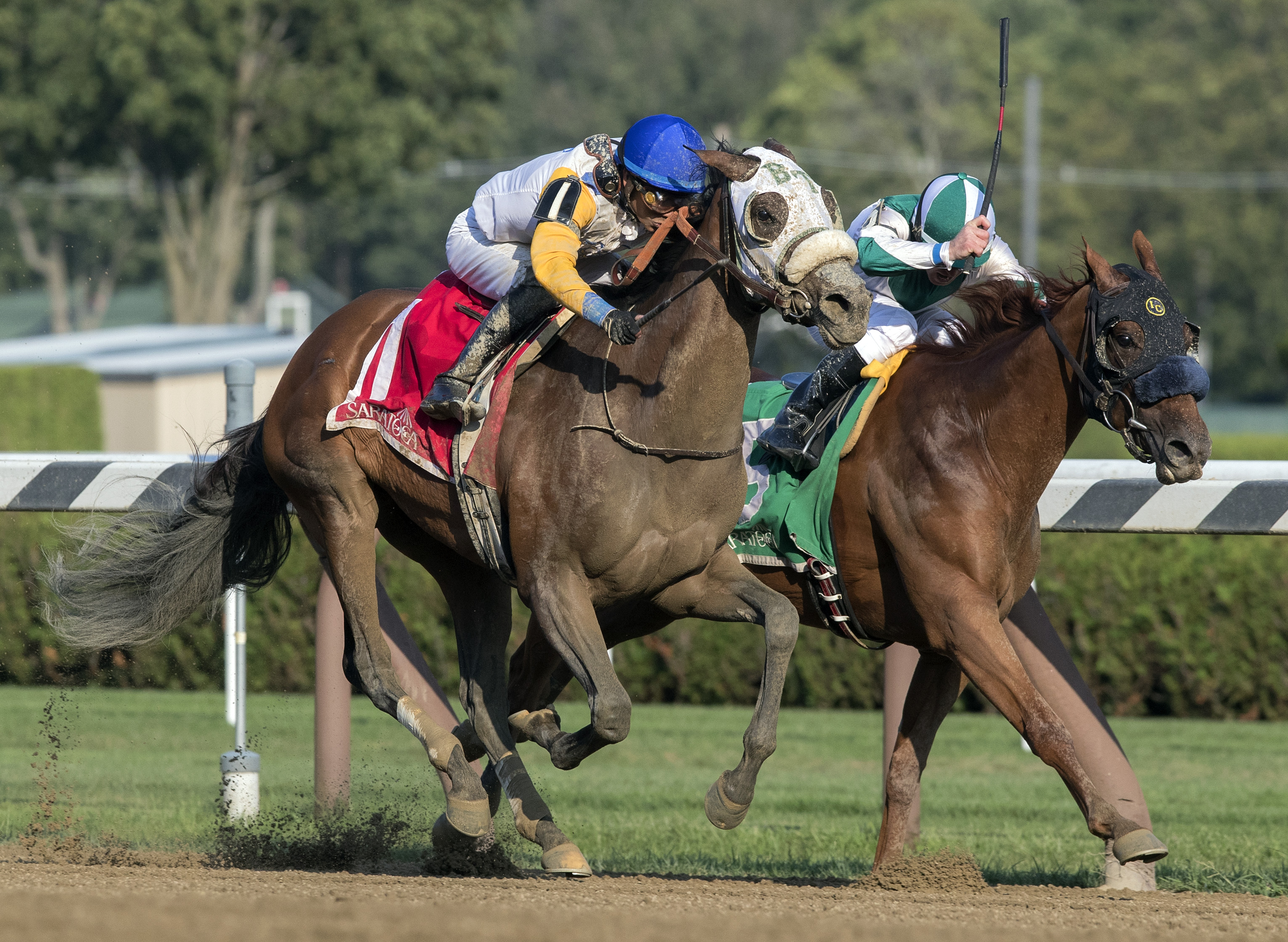 Verve's Tale (#1) wins the Summer Colony Stakes at Saratoga 8.20.17
