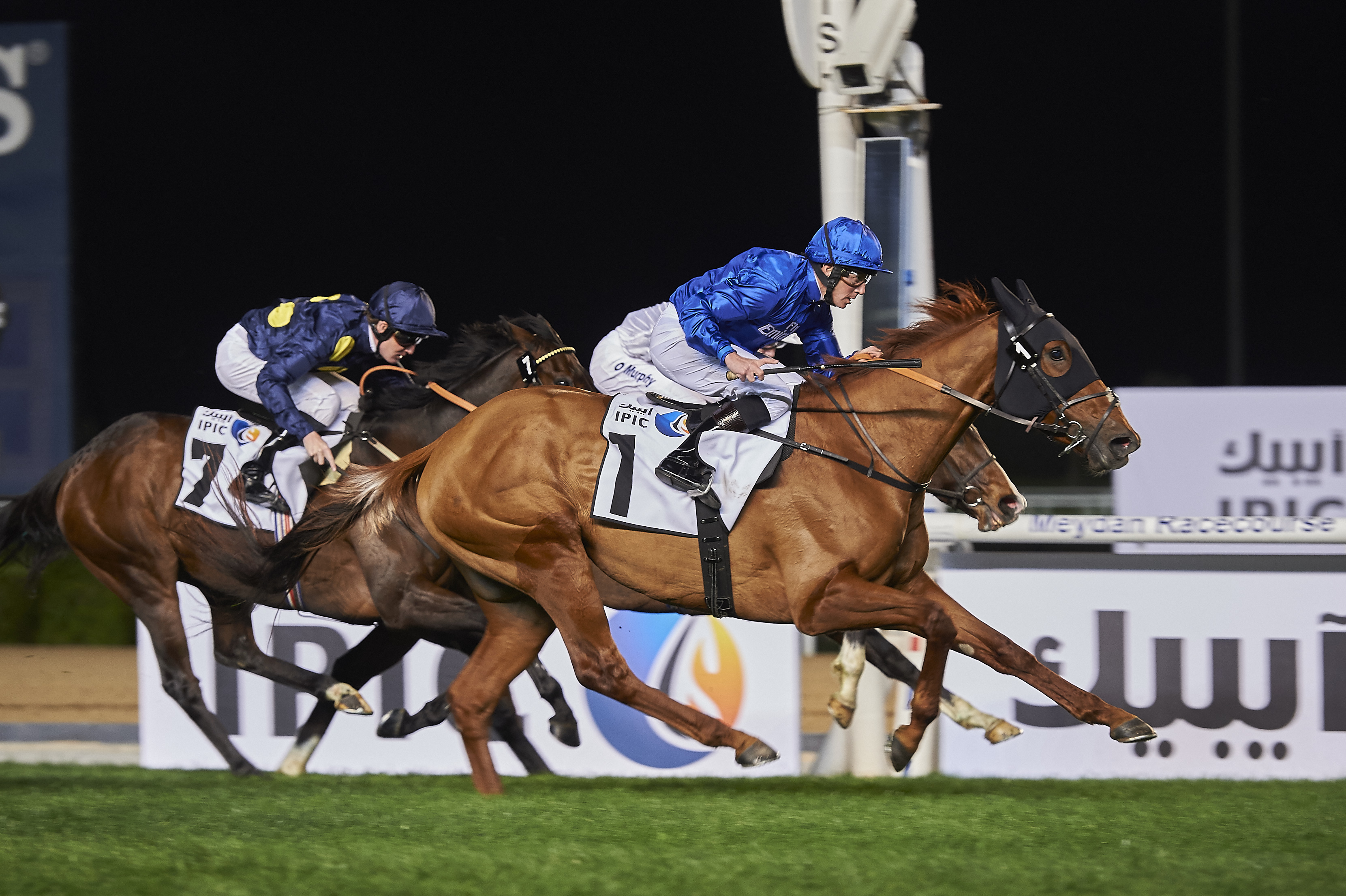 Very Special wins the Cape Verdi