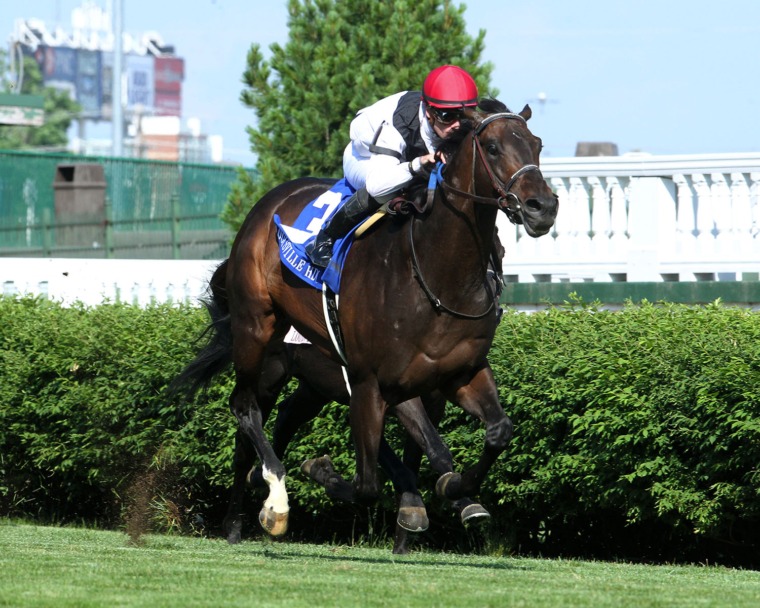 Vettori Kin wins the 2018 Louisville Handicap