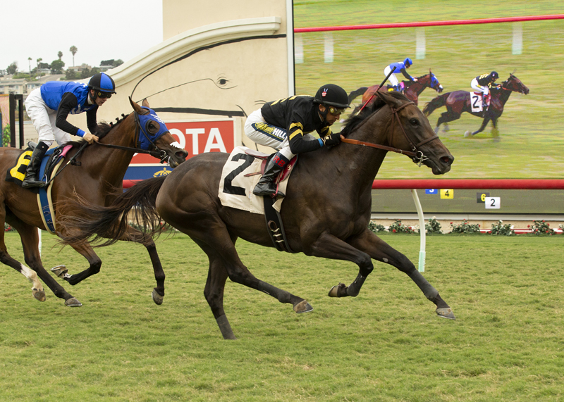 Vexatious wins the 2018 CTT and TOC Stakes