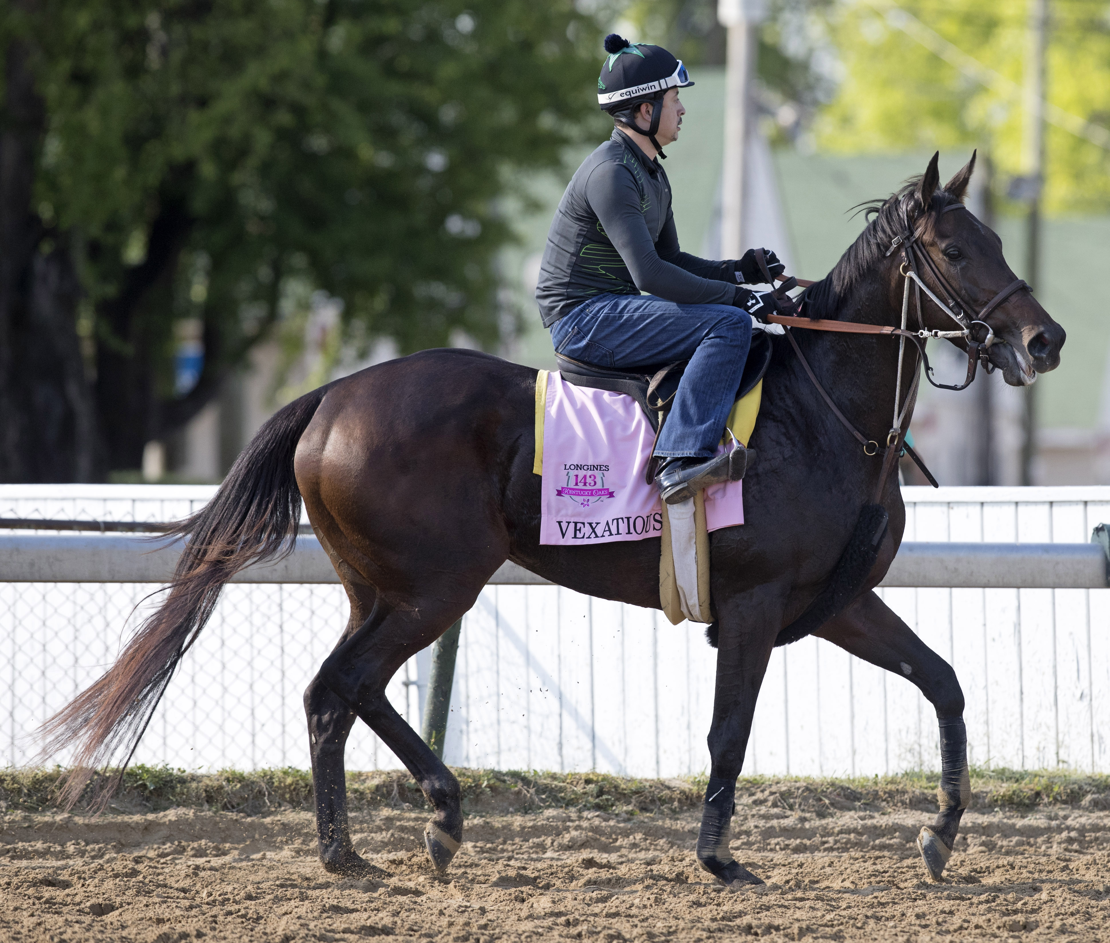 Vexatious at Churchill Downs on April 25