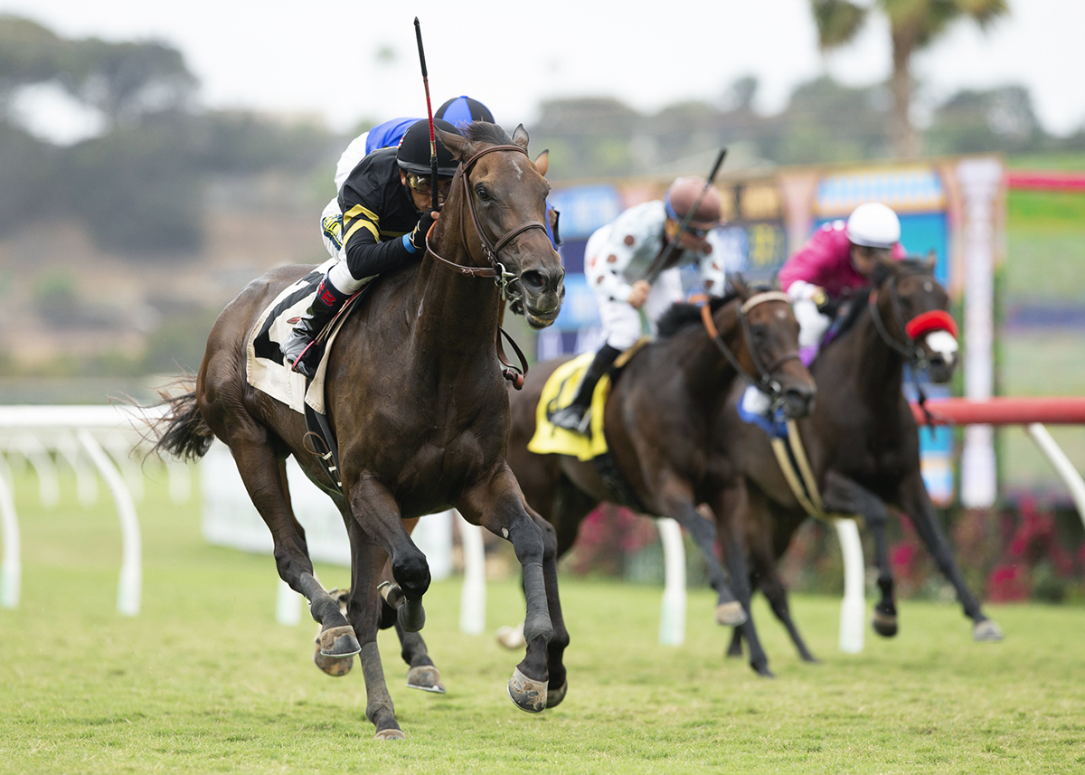 Vexatious wins the CTT and TOC Stakes