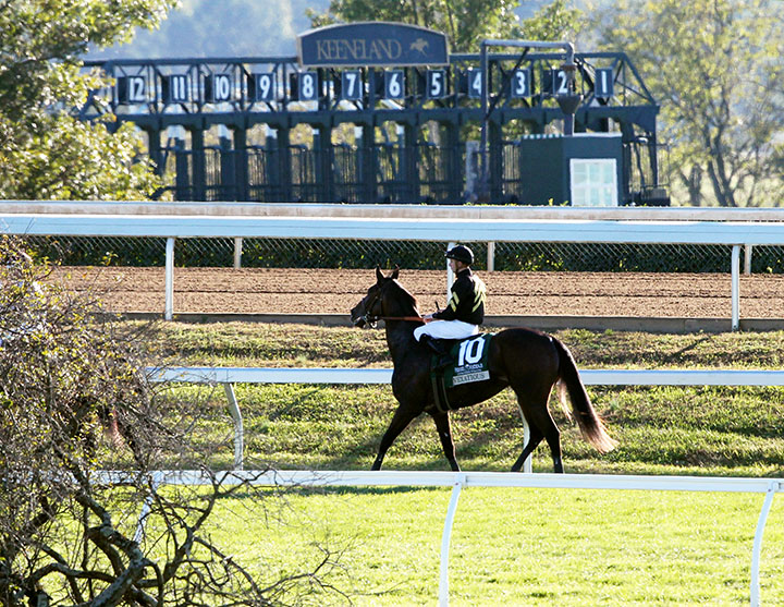 Keeneland starting gate