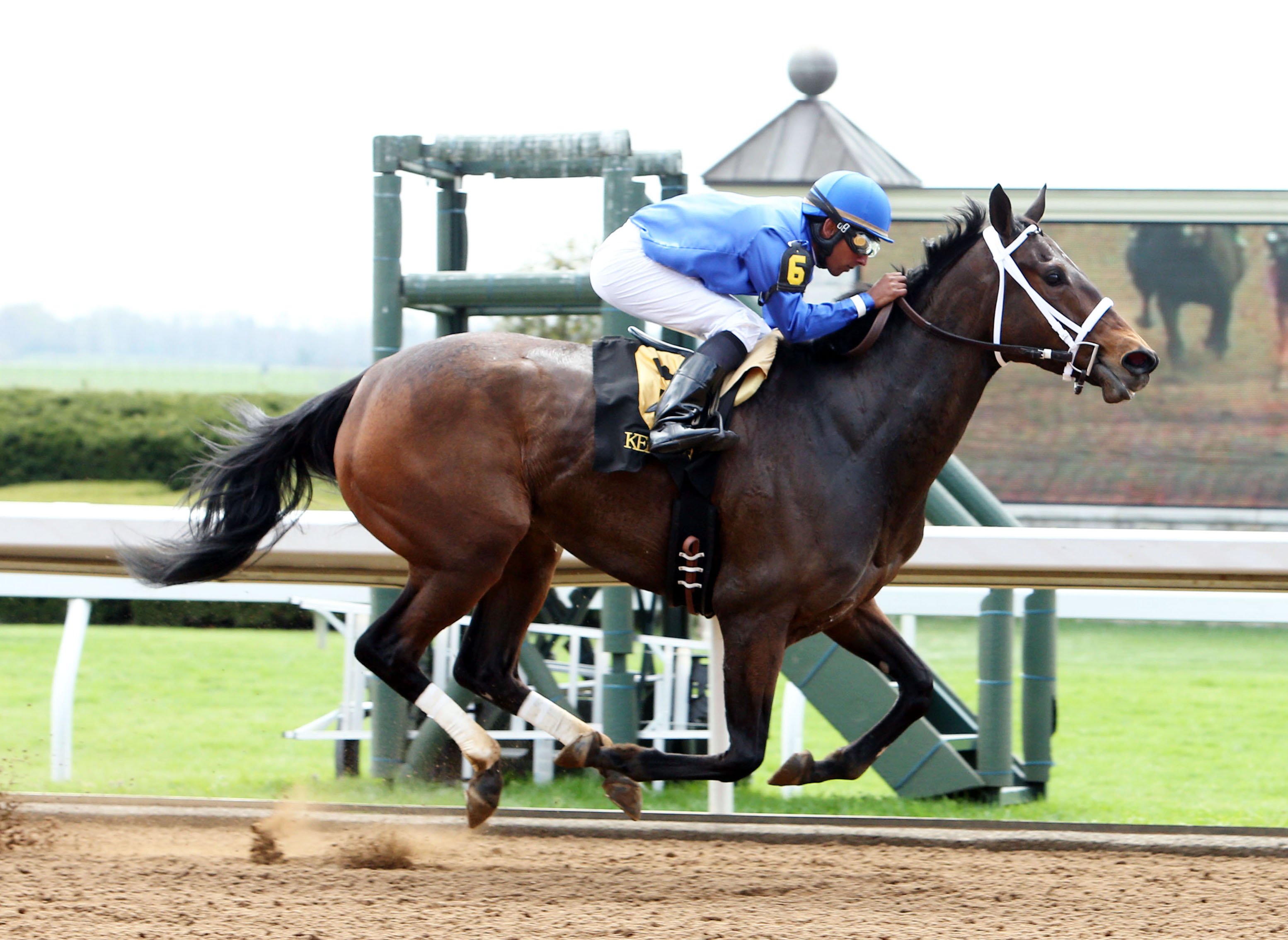 Via Strata wins an optional claimer