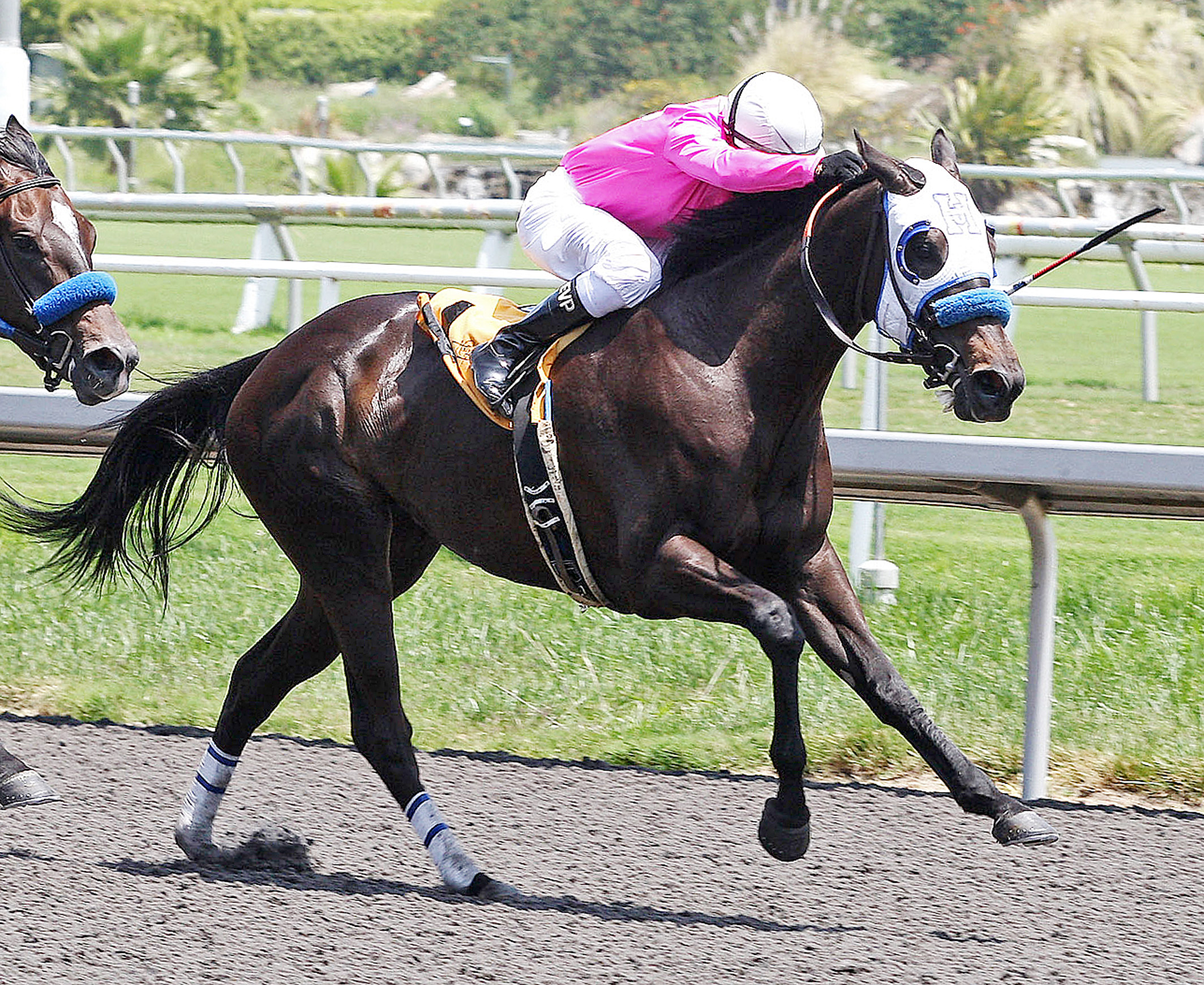 Via Villaggio, Railbird Stakes
