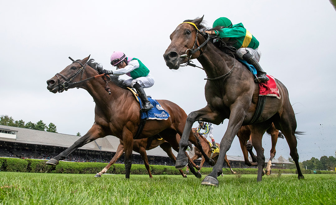 High Opinion (right) finishes second in the 2021 Ballston Spa Stakes at Saratoga Race Course