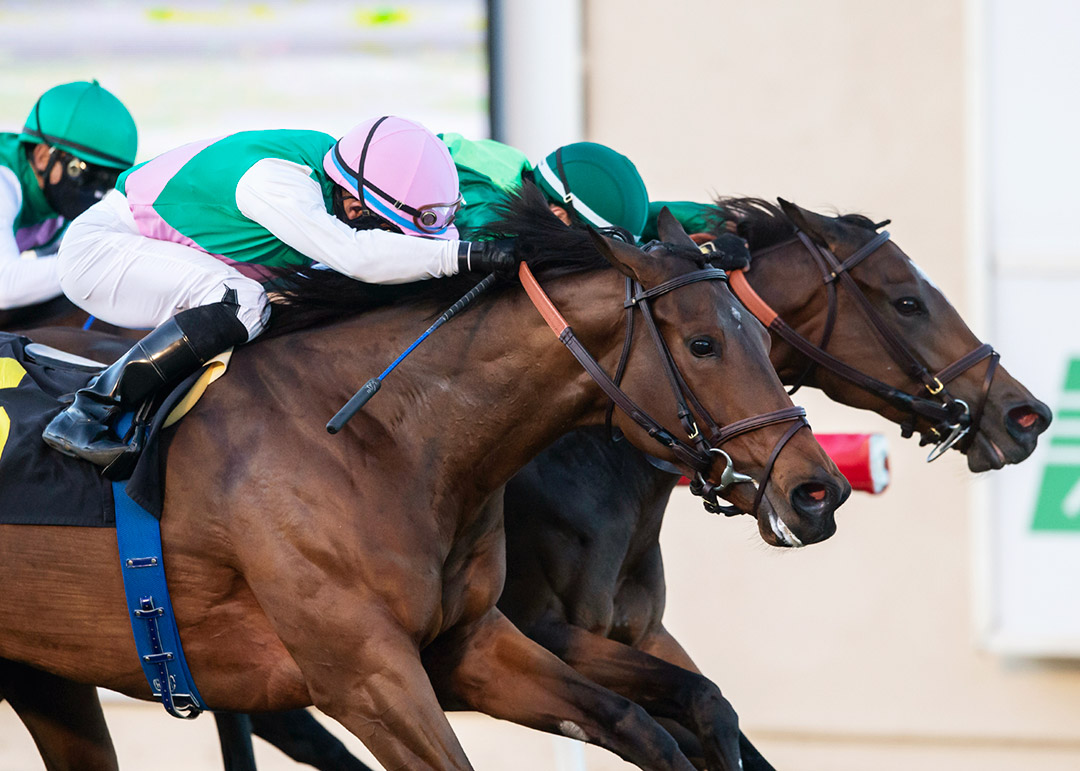 Viadera (left, pink helmet) wins the 2020 Matriarch Stakes at Del Mar