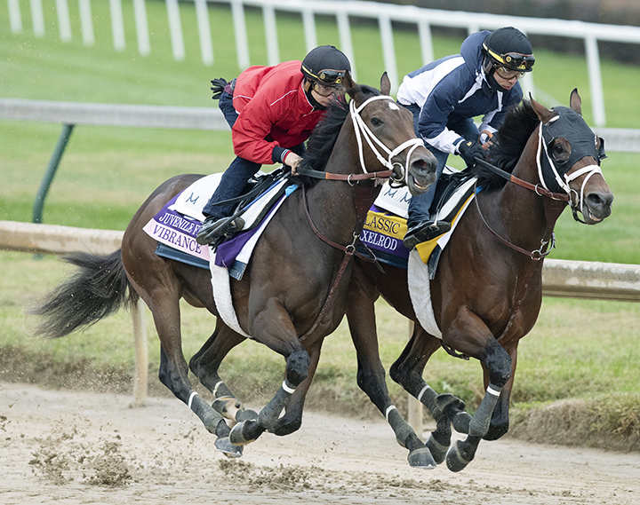 Vibrance trains with Axelrod on Oct. 27