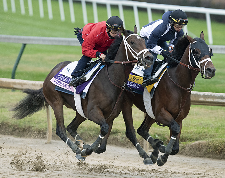 Vibrance trains with Axelrod on Oct. 27