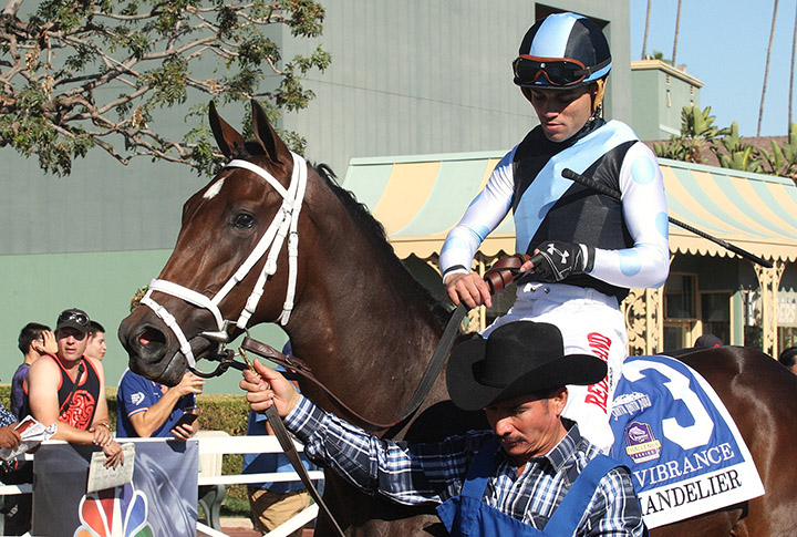 Vibrance in the paddock at Santa Anita