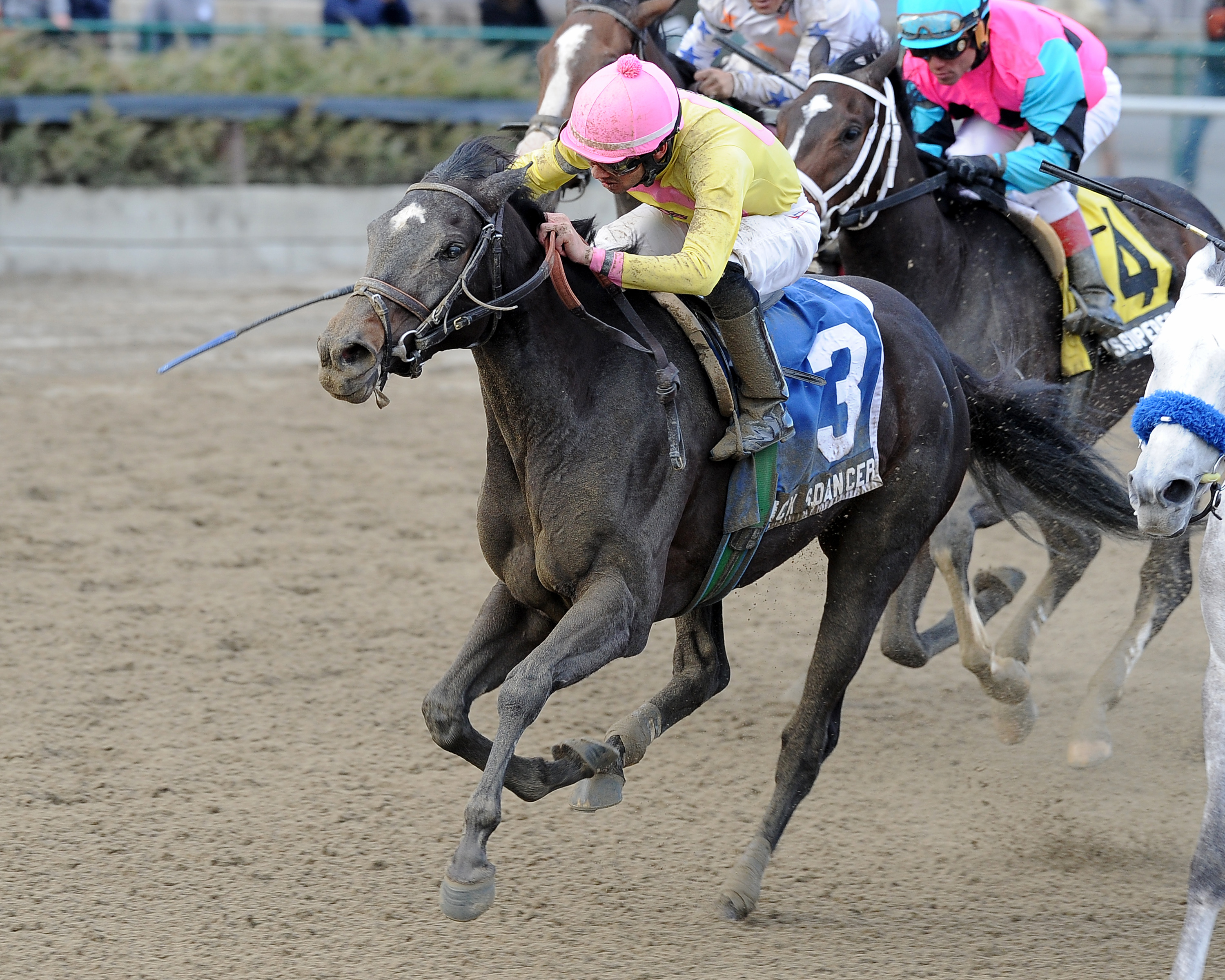 Vicki’s Dancer, Staten Island division of NY Stalion Stakes