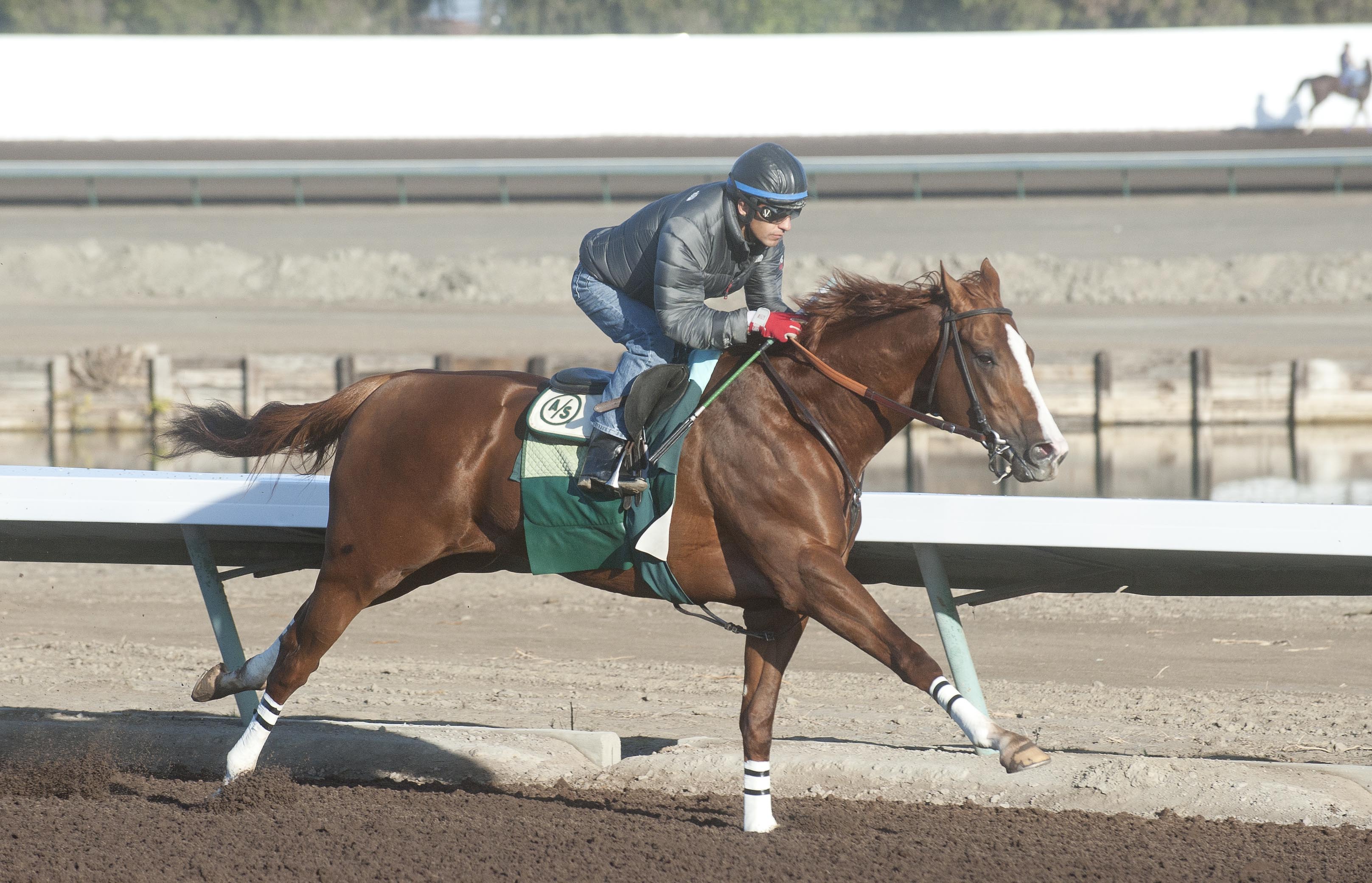 Victor Espinoza/California Chrome
