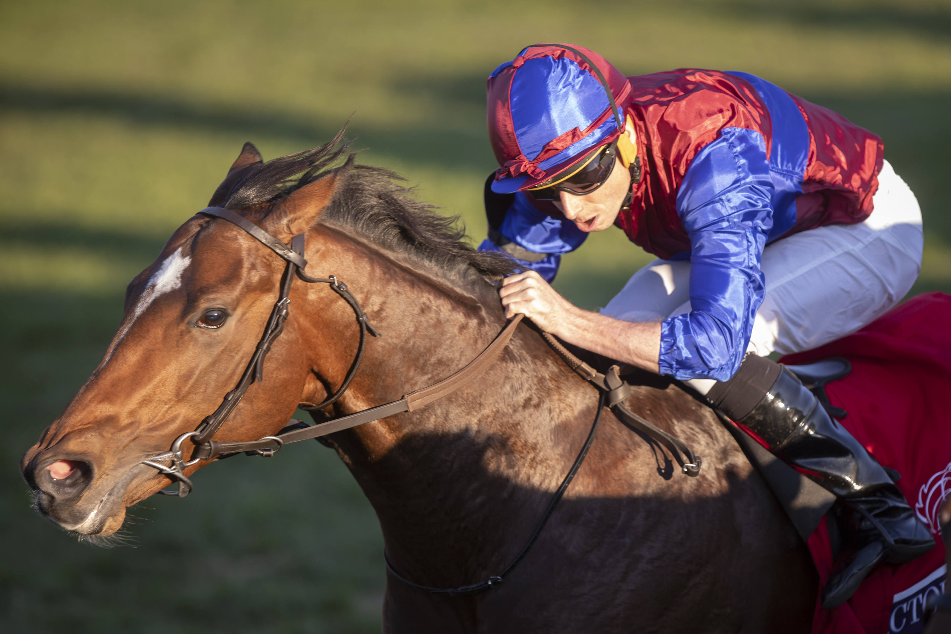 Victoria Road - BC Juvenile Turf 2022