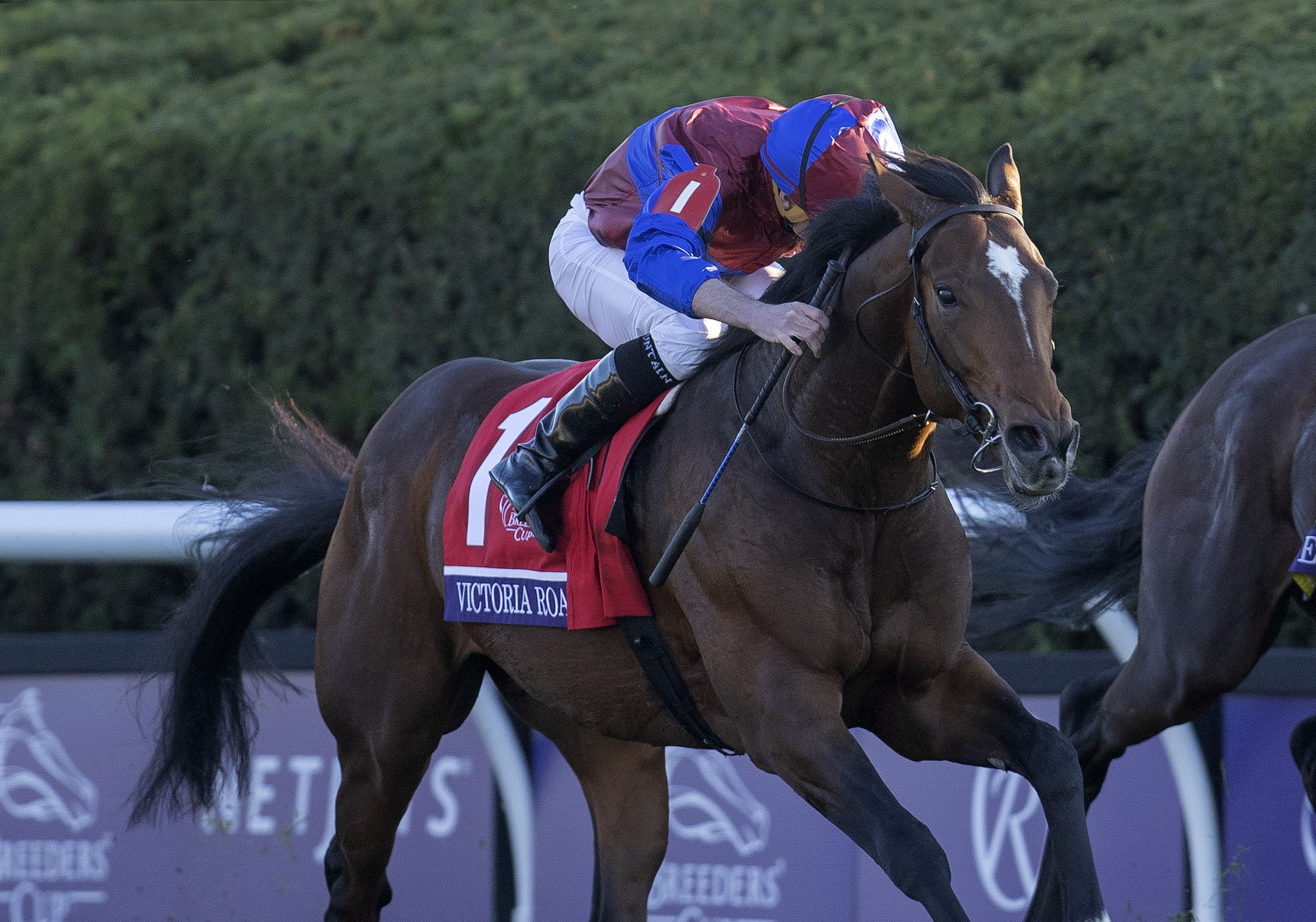 Victoria Road/Eclipse Awards