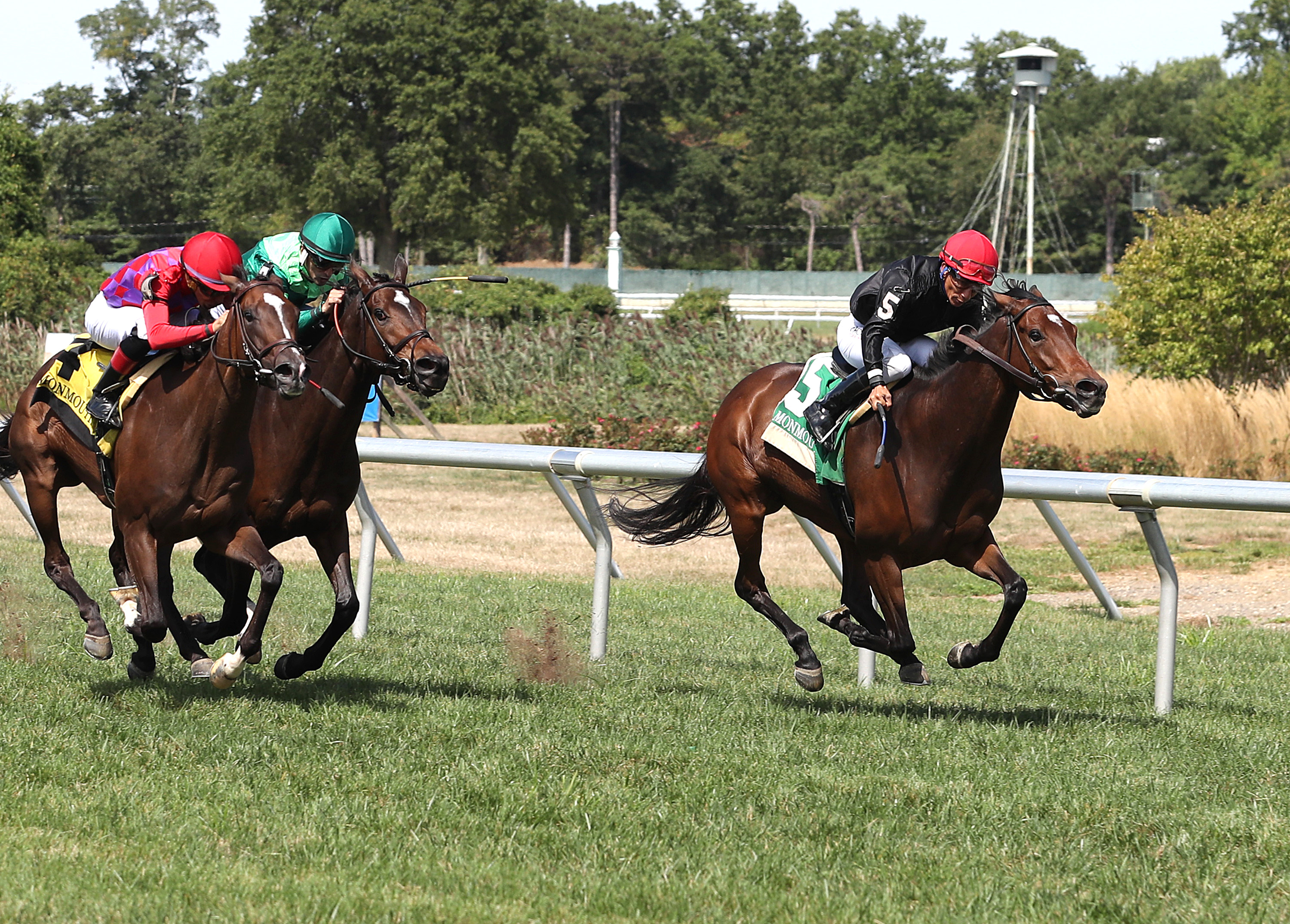 Vigilantes Way wins the Violet at Monmouth Sept 3 2022