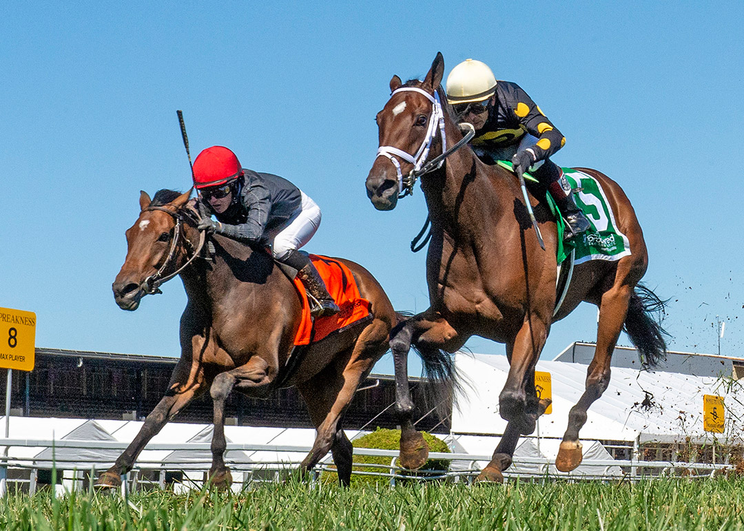 Vigilantes Way (left) finishes second in the Hilltop Stakes at Pimlico Race Course