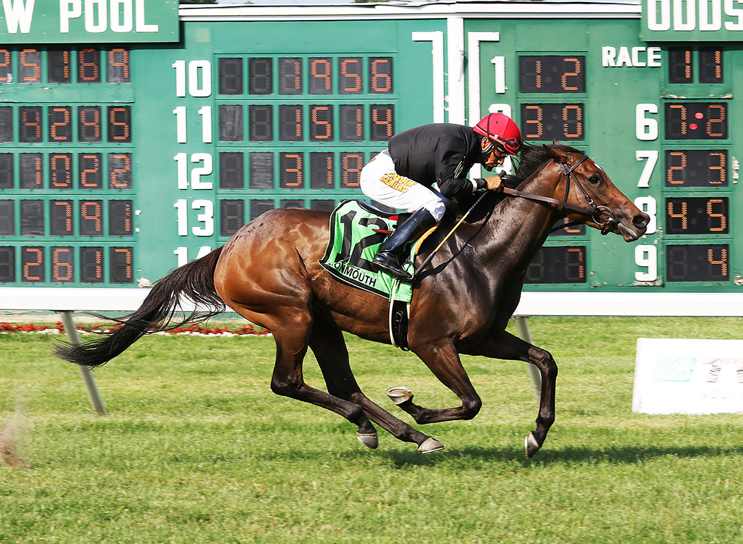 Vigilantes Way wins the 2021 Eatontown Stakes at Monmouth Park