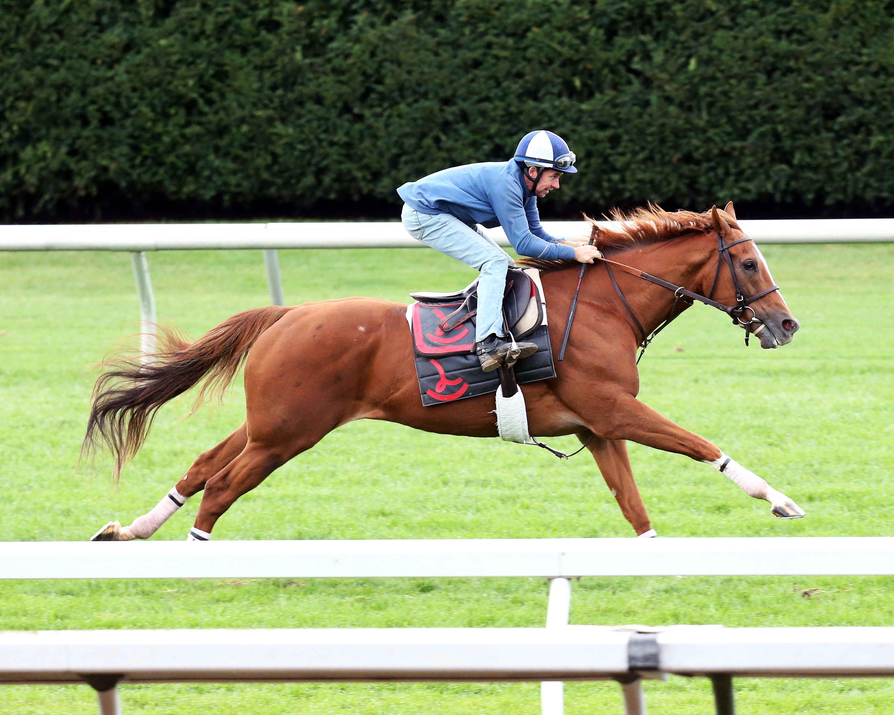Villandry works at Keeneland in October
