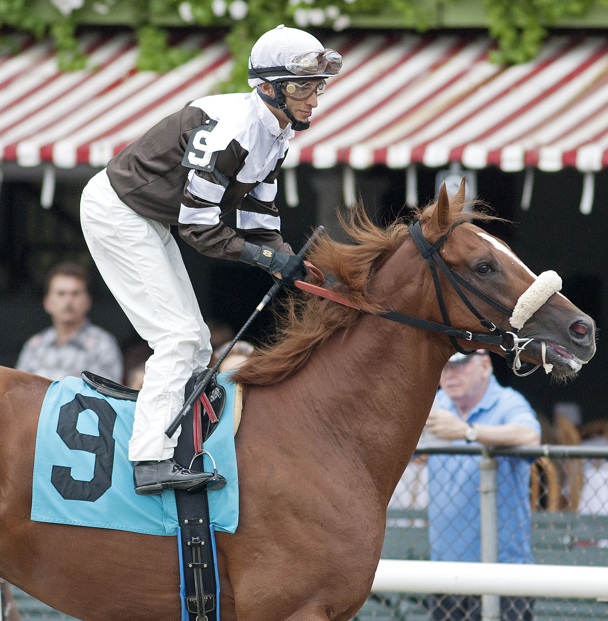 Villandry at Saratoga in 2011