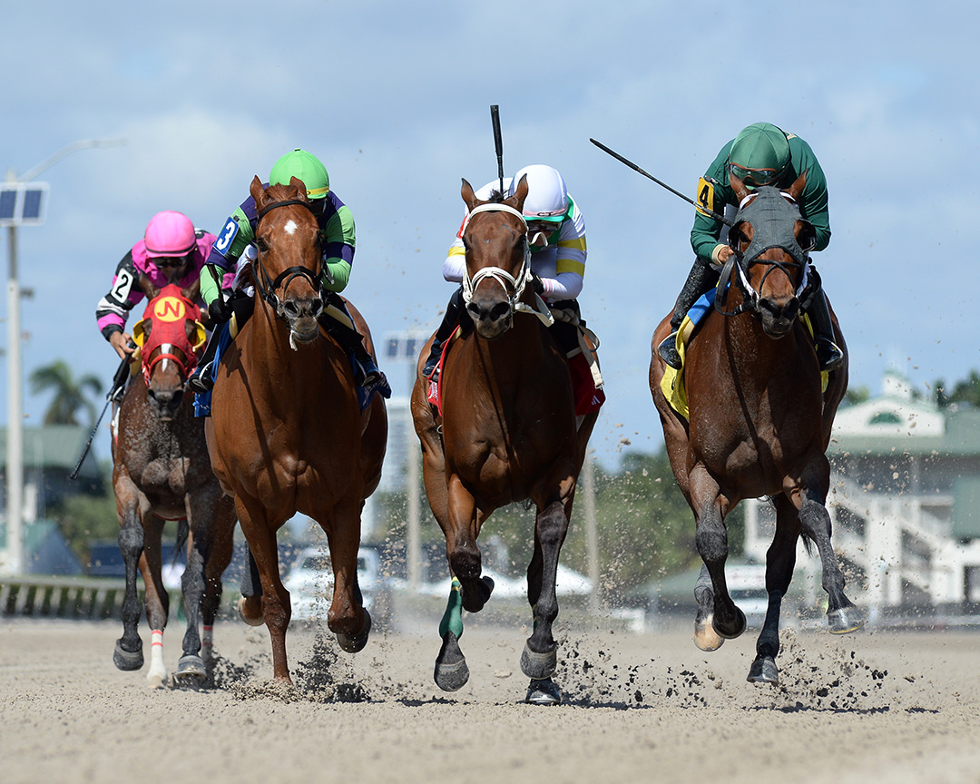 Vinnie Van Go (right) wins the 2020 Trust Buster Stakes at Gulfstream Park