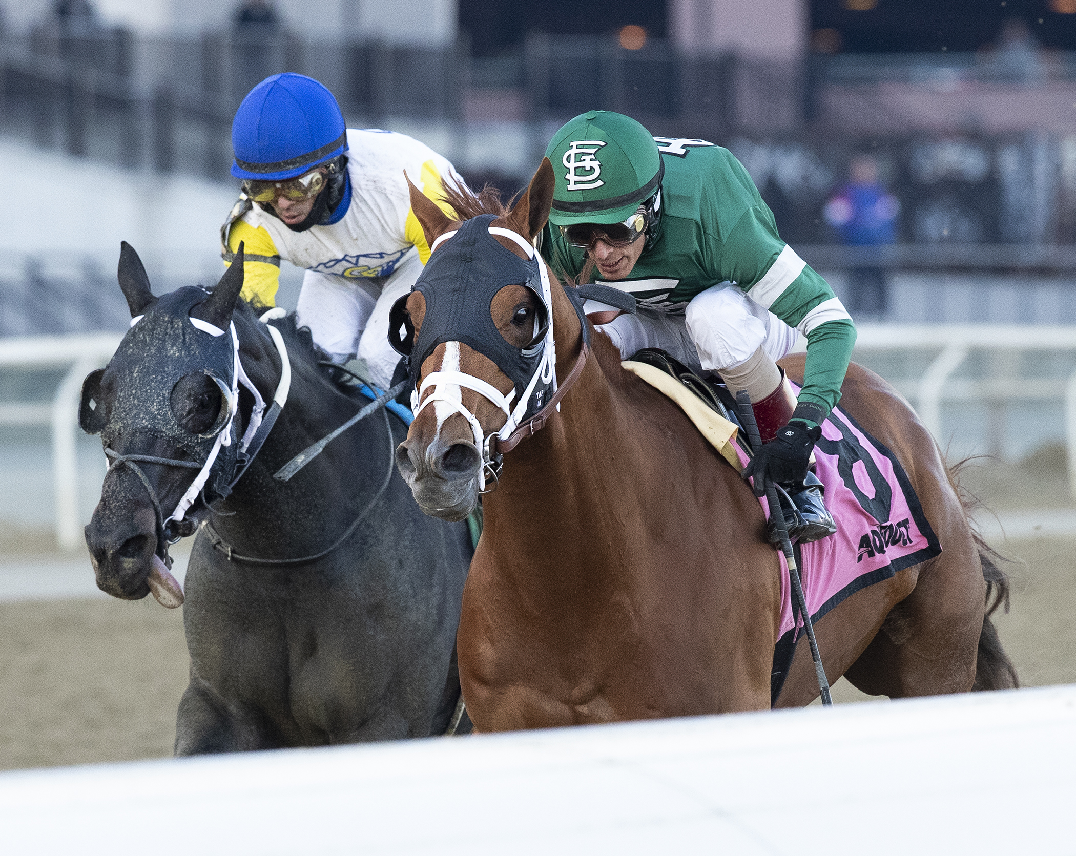Vino Rosso wins 2019 Stymie Stakes