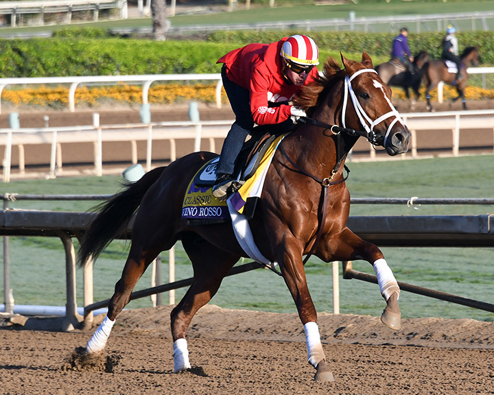 Vino Rosso trains at Santa Anita Park on Oct. 30