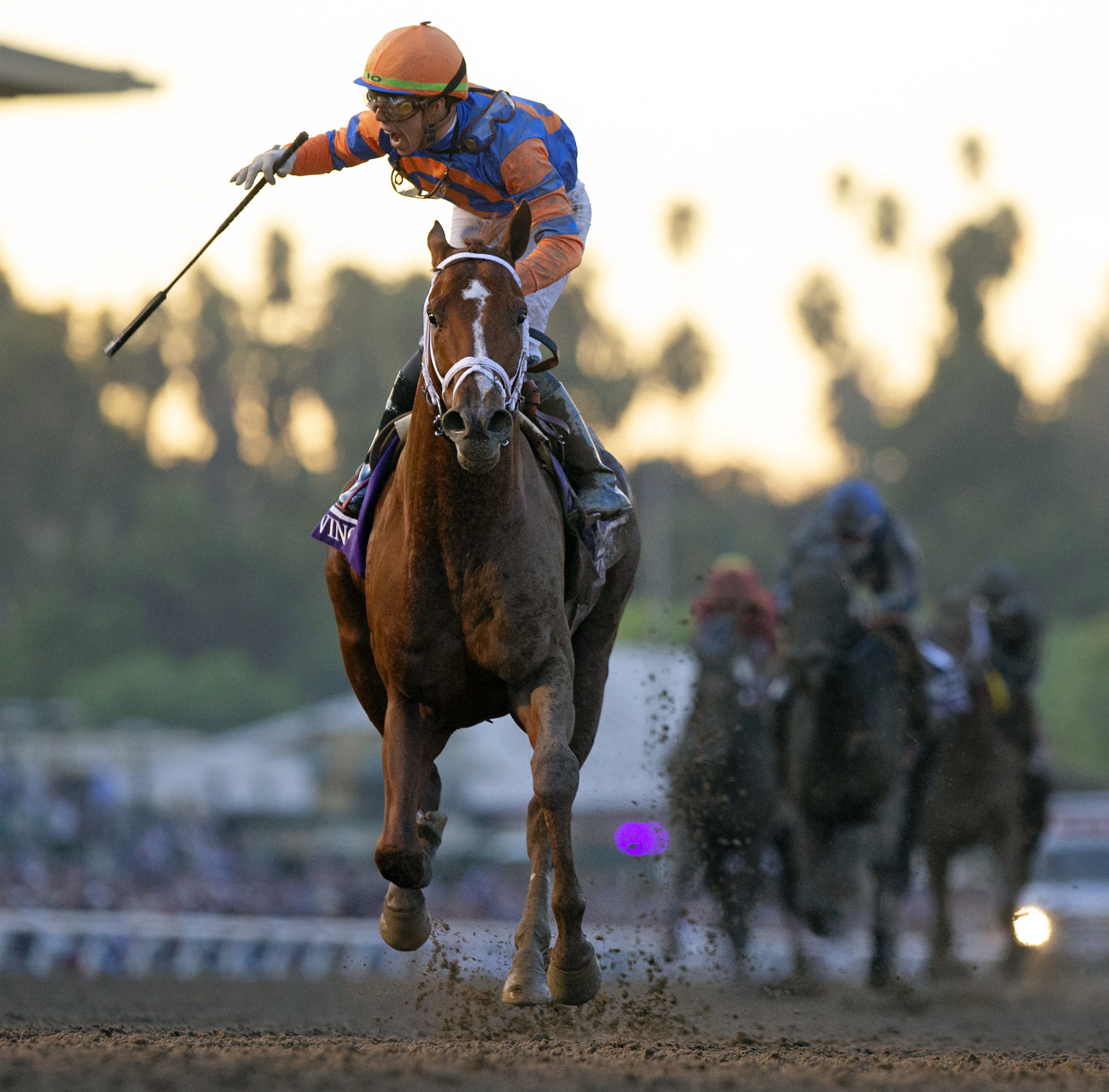 Vino Rosso wins the 2019 BC Classic