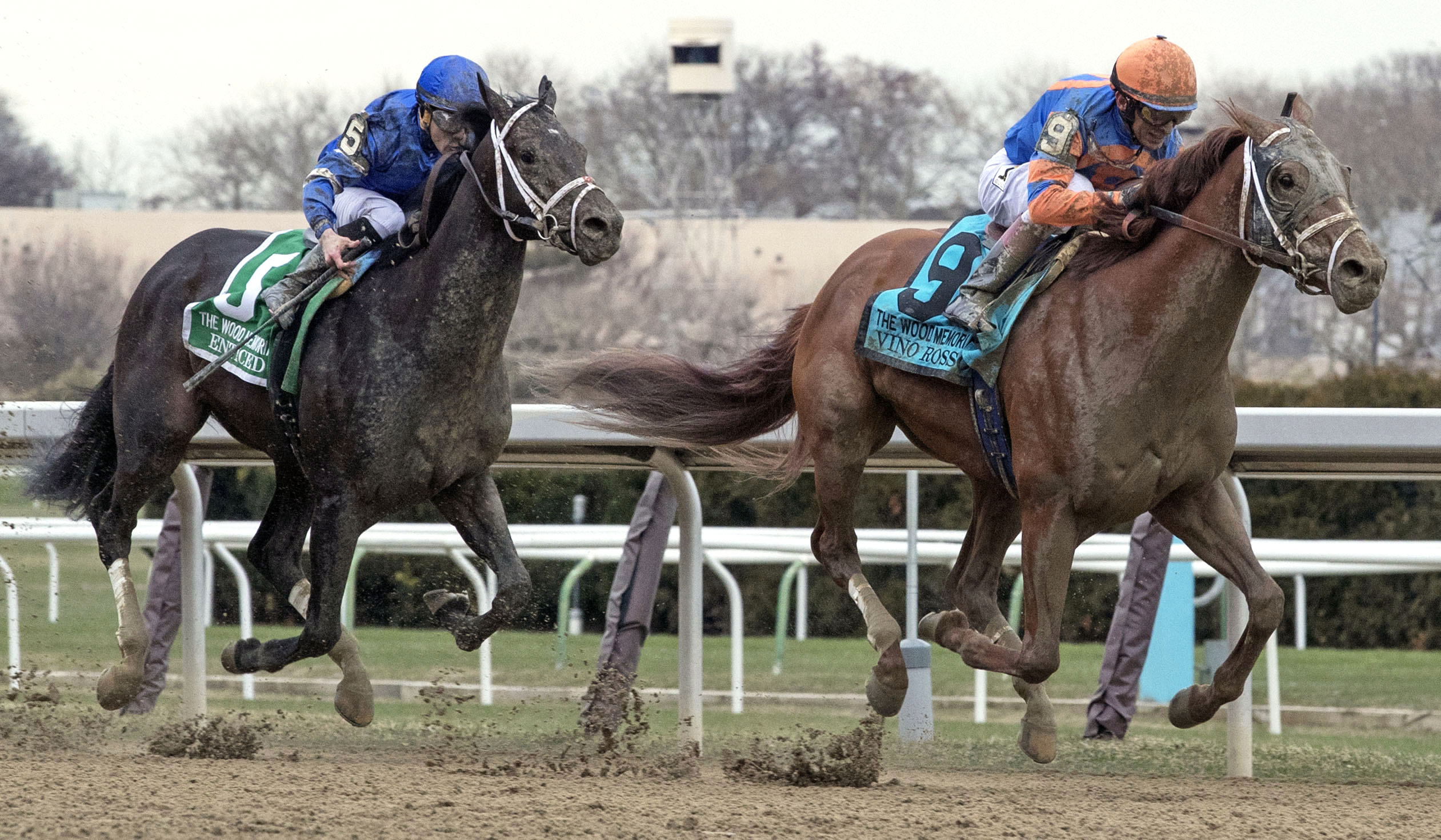 Vino Rosso defeats Enticed in the 2018 Wood Memorial