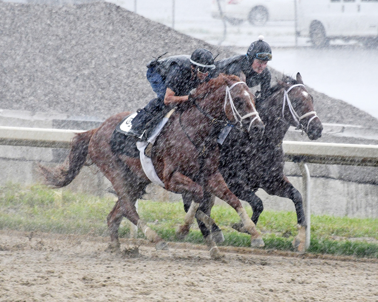 Vino Rosso and Patch train at Belmont on June 1
