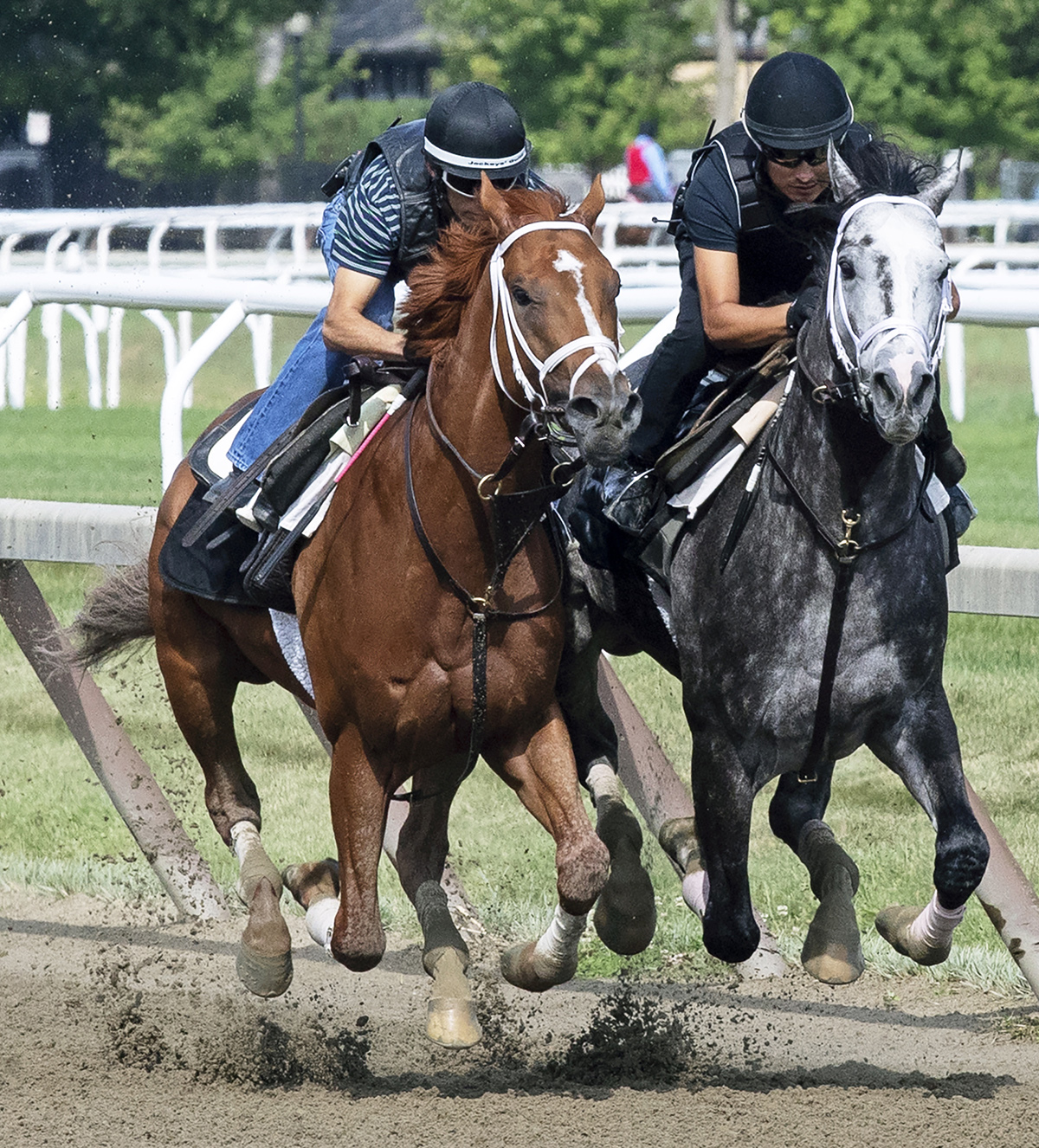 Vino Rosso trains with Tapwrit on July 21 at Saratoga