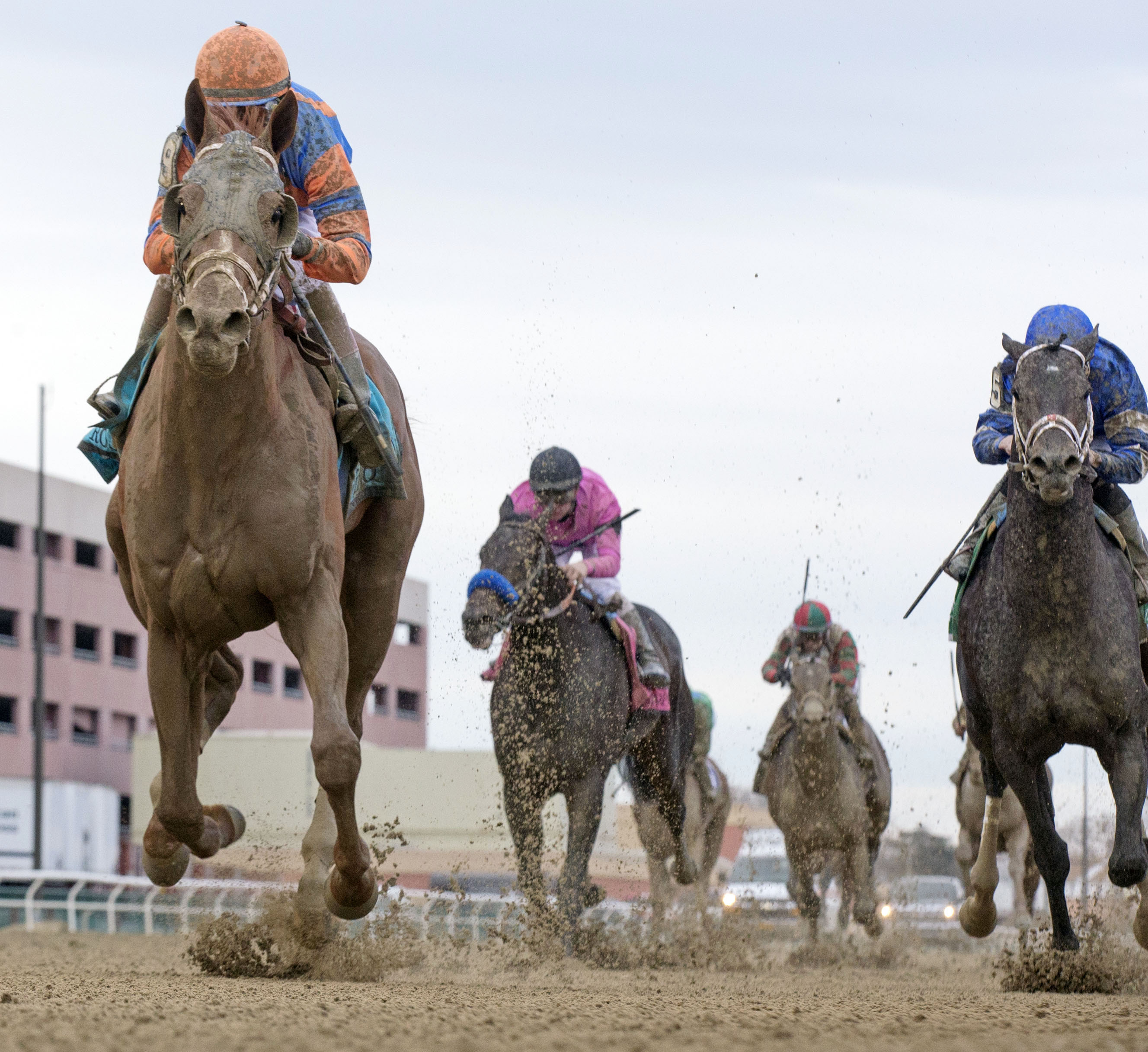 Vino Rosso wins the 2018 Wood Memorial