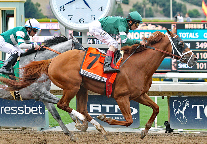 Vino Rosso wins 2019 The Gold Cup