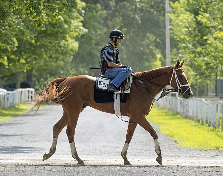 Vino Rosso in July 2018