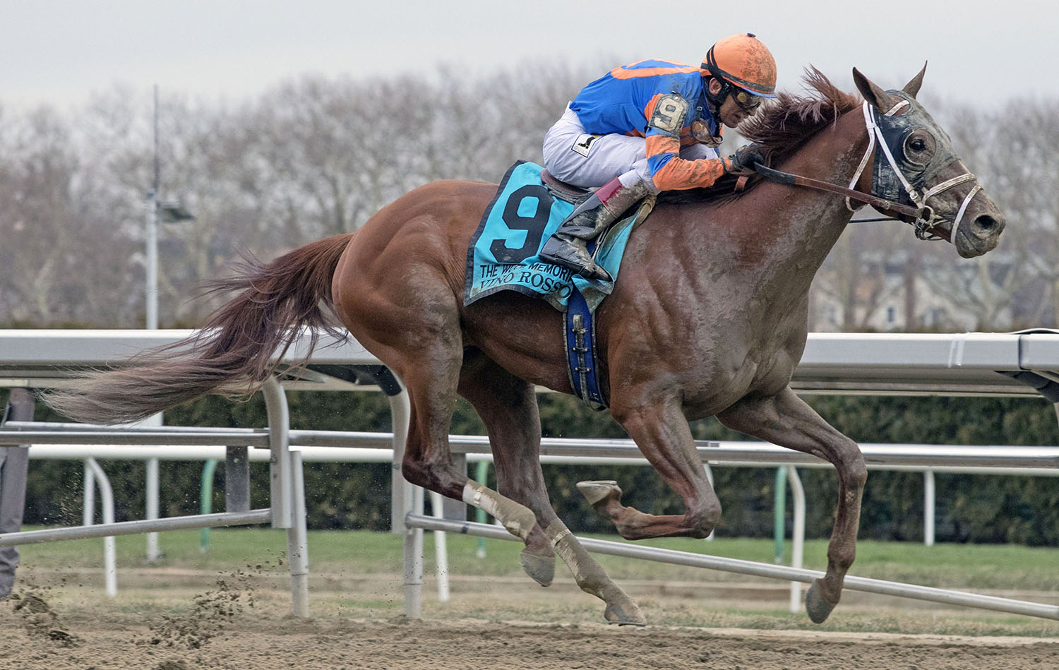 Vino Rosso wins the Wood Memorial