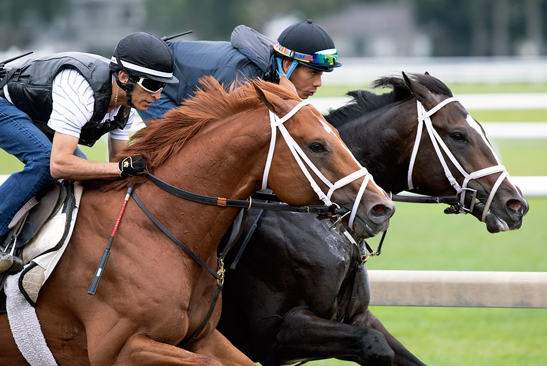 En Wye Cee (inside) trains with Vino Rosso at Saratoga Race Course in July 2019