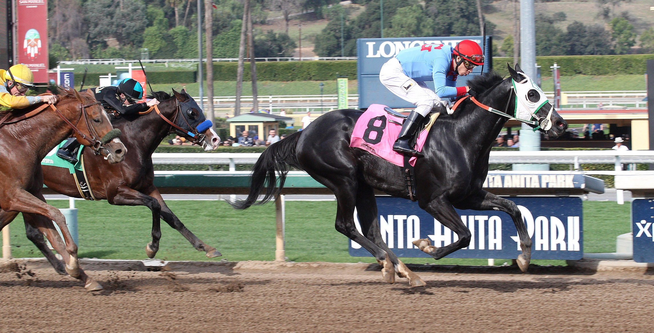 Violent Ridge wins a Jan. 15 maiden race