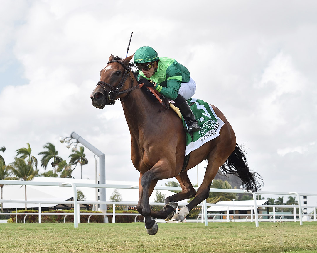 Virginia Joy wins the 2022 The Very One Stakes at Gulfstream Park