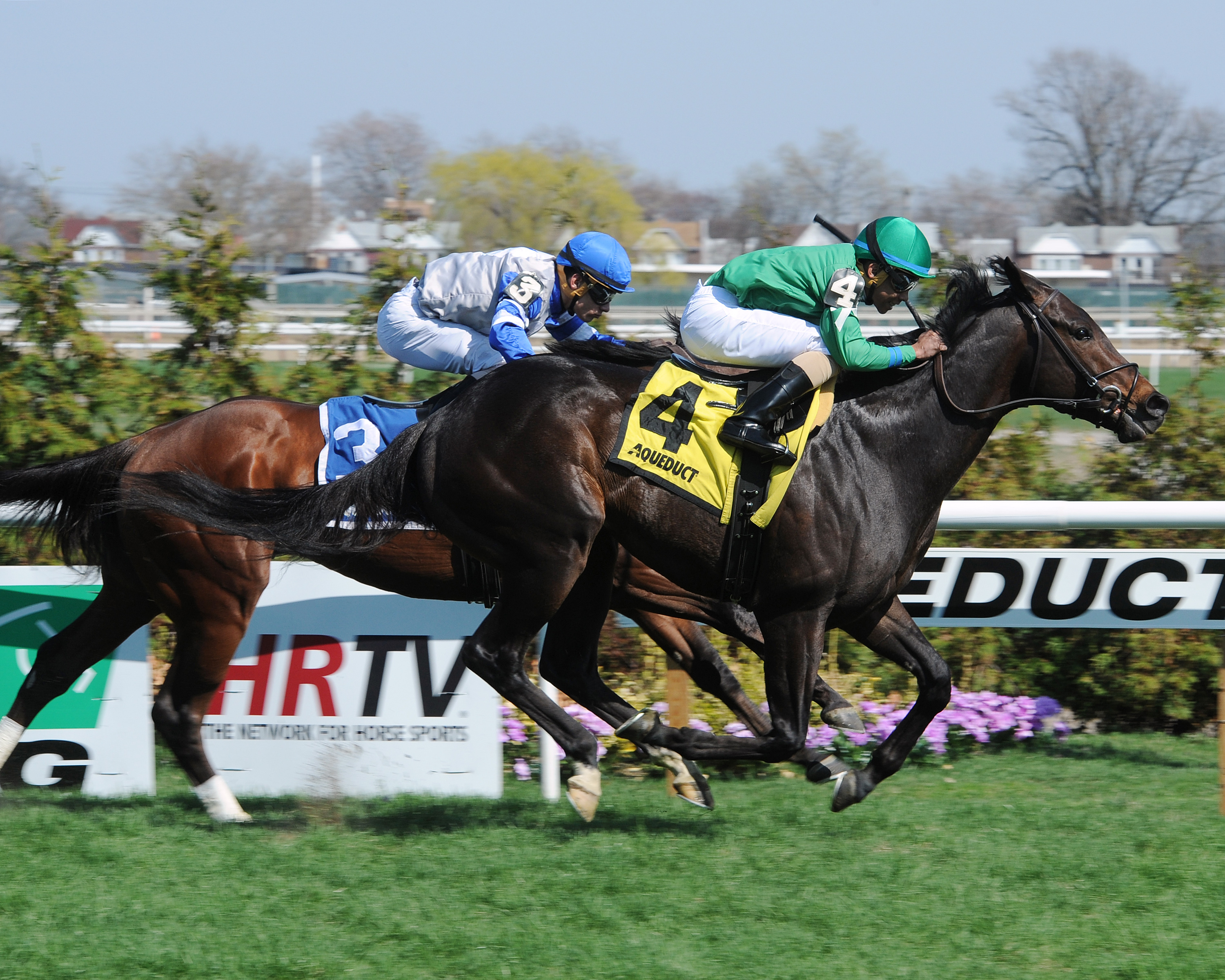 Vision Perfect wins the 2015 Woodhaven Stakes