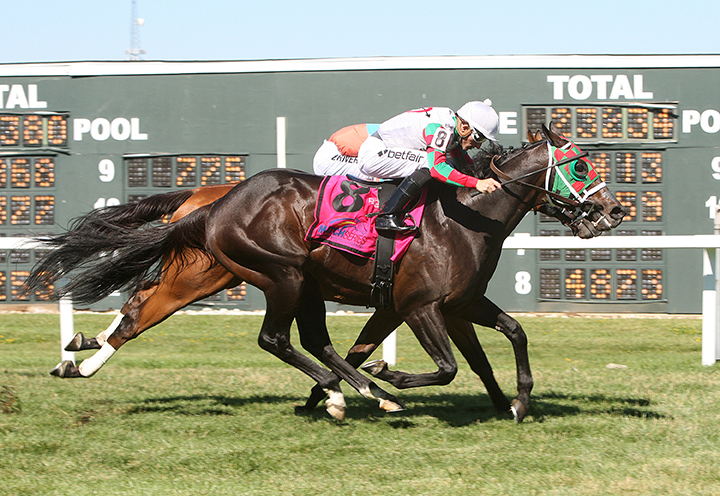 Vision Perfect wins the 2018 Parx Dash