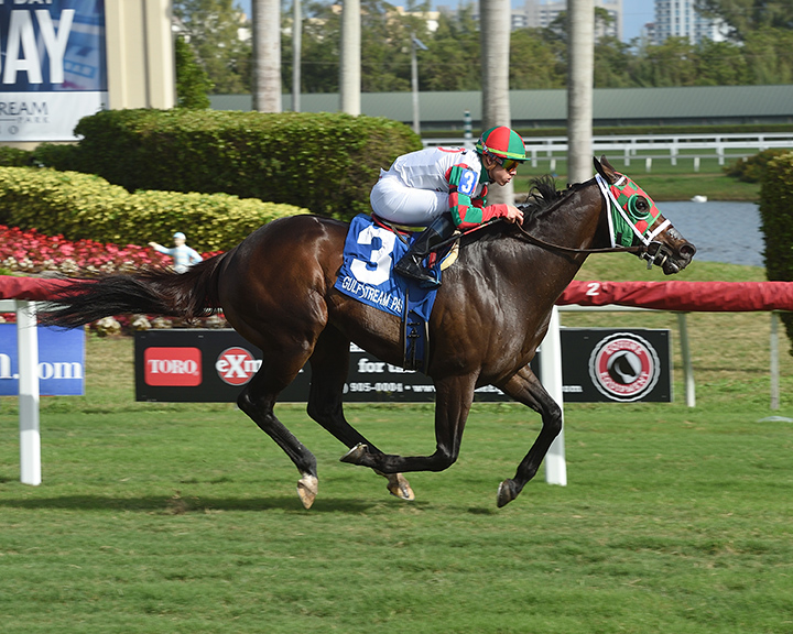 Vision Perfect wins the 2018 Janus Stakes