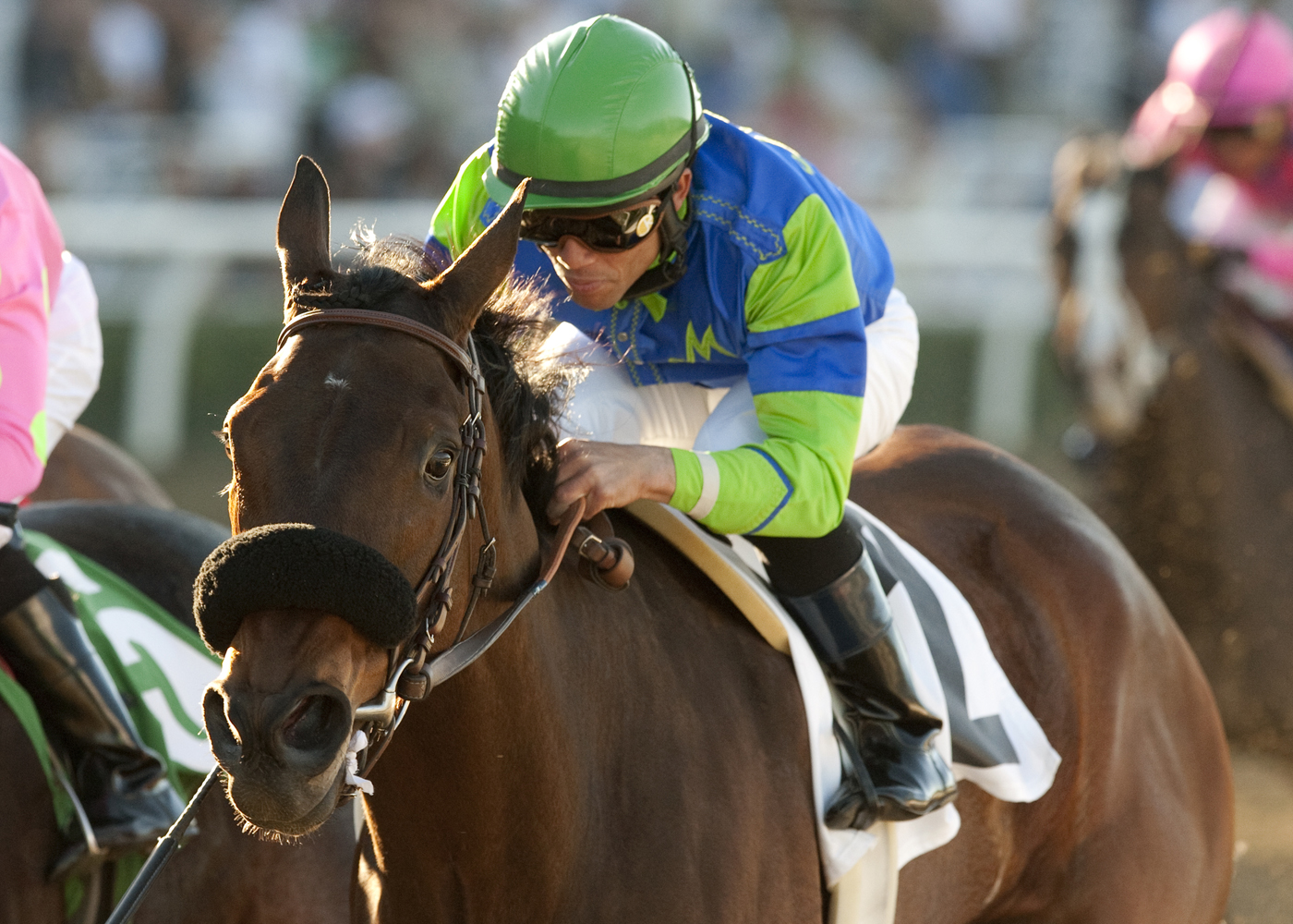 Vision in Gold/Santa Maria