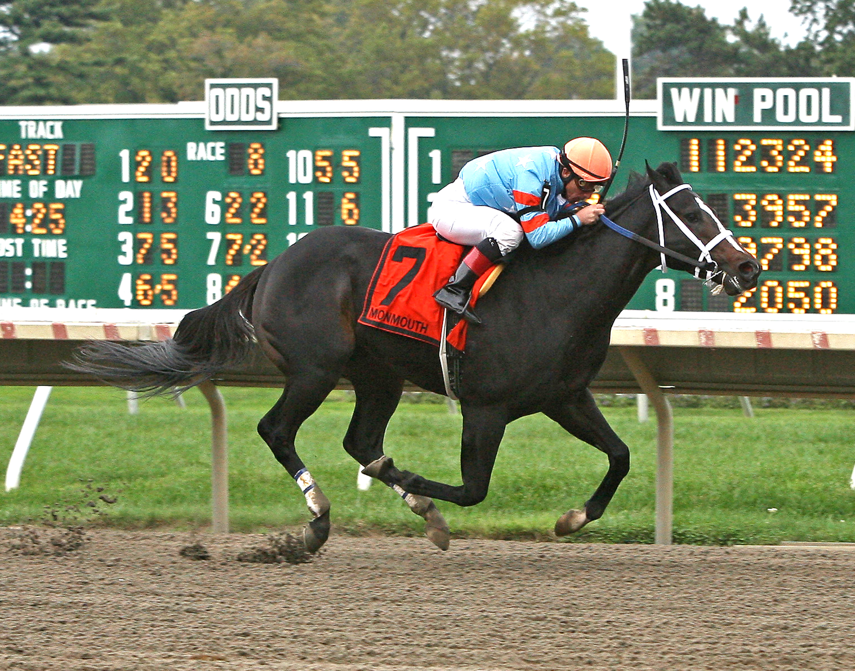 Visionary Ruler/Jersey Juvenile