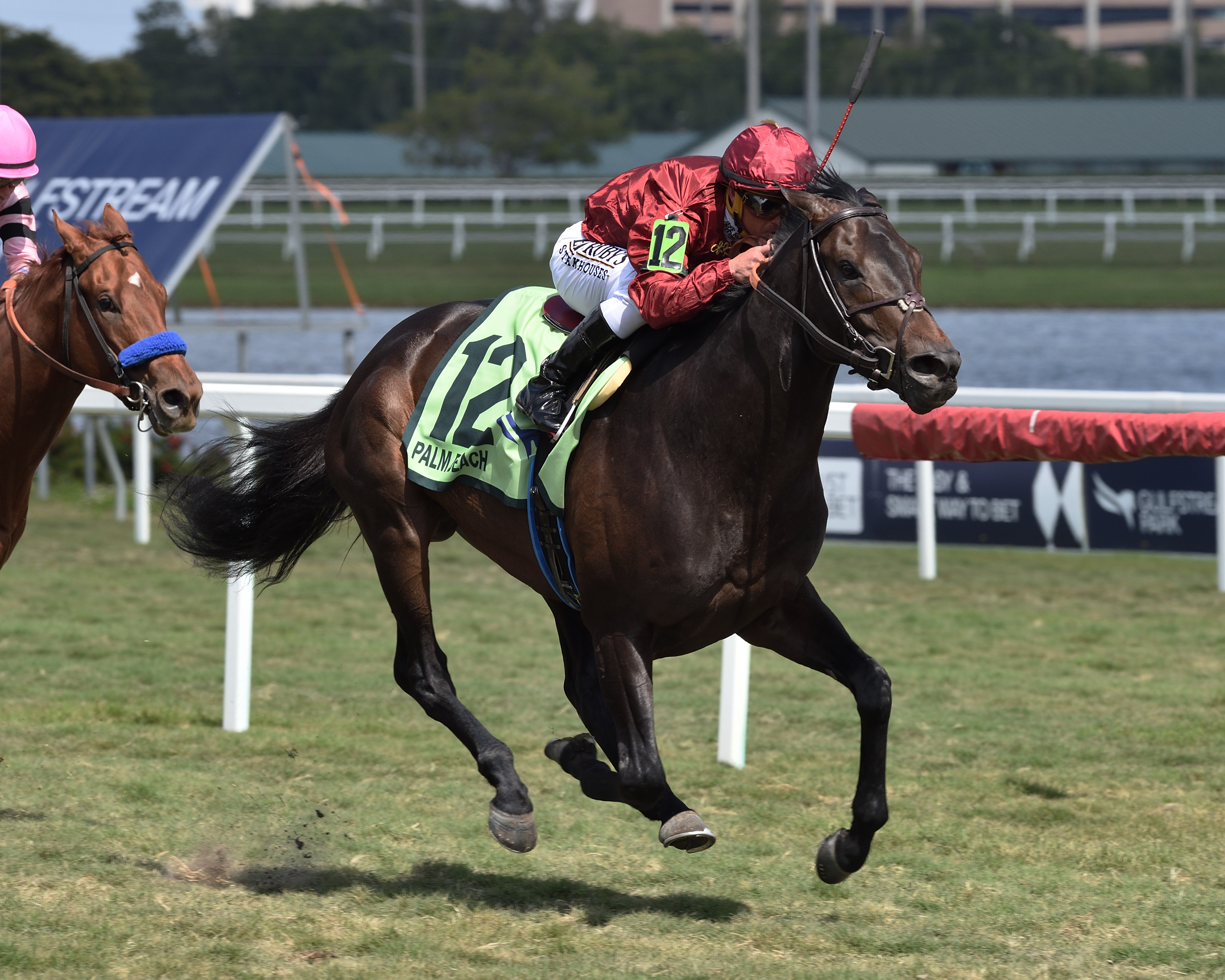 Vitalogy wins the 2020 Palm Beach Stakes