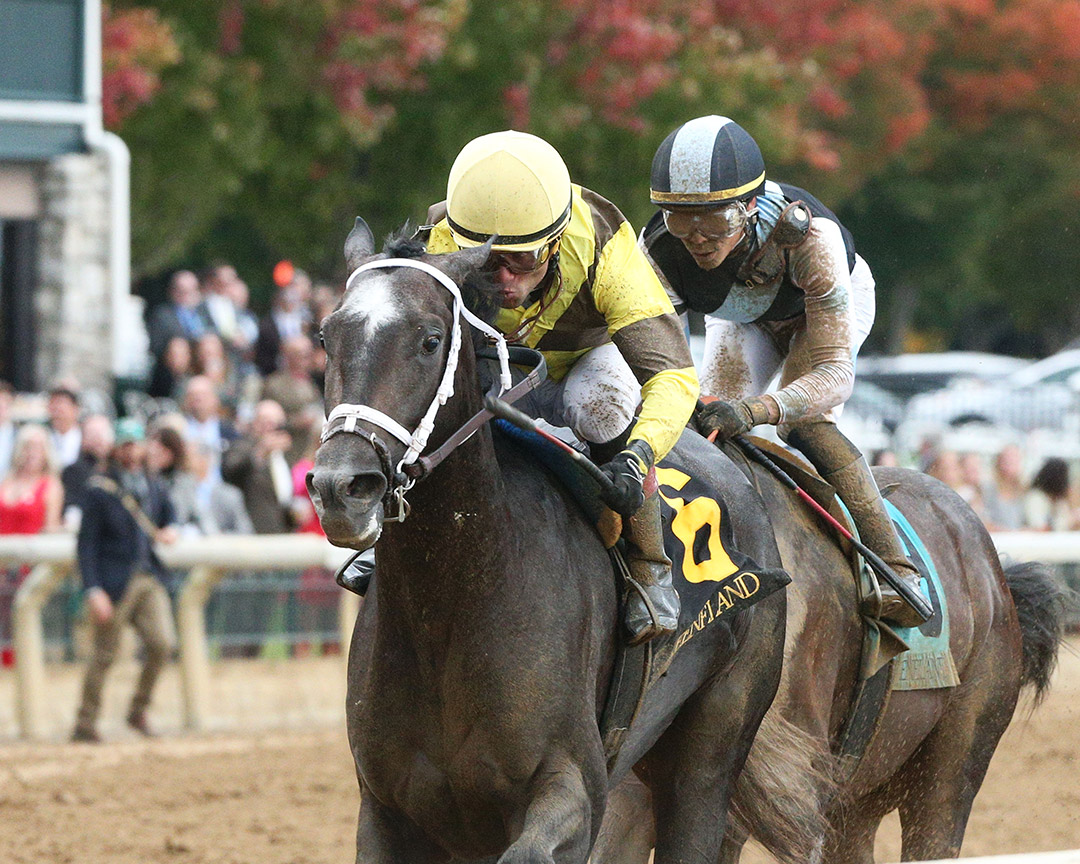 Vivar wins an Oct. 29 allowance at Keeneland