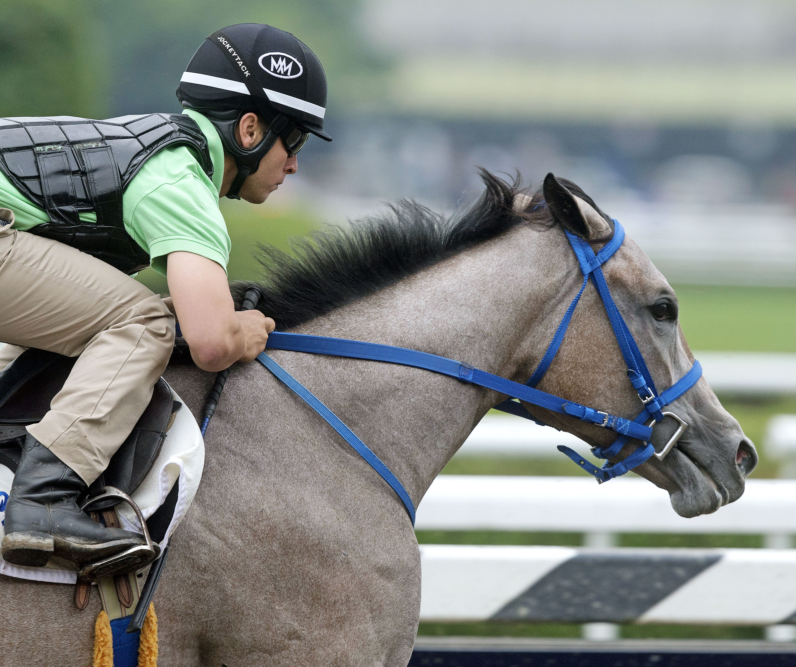 Vivian Da Bling trains at Saratoga in August