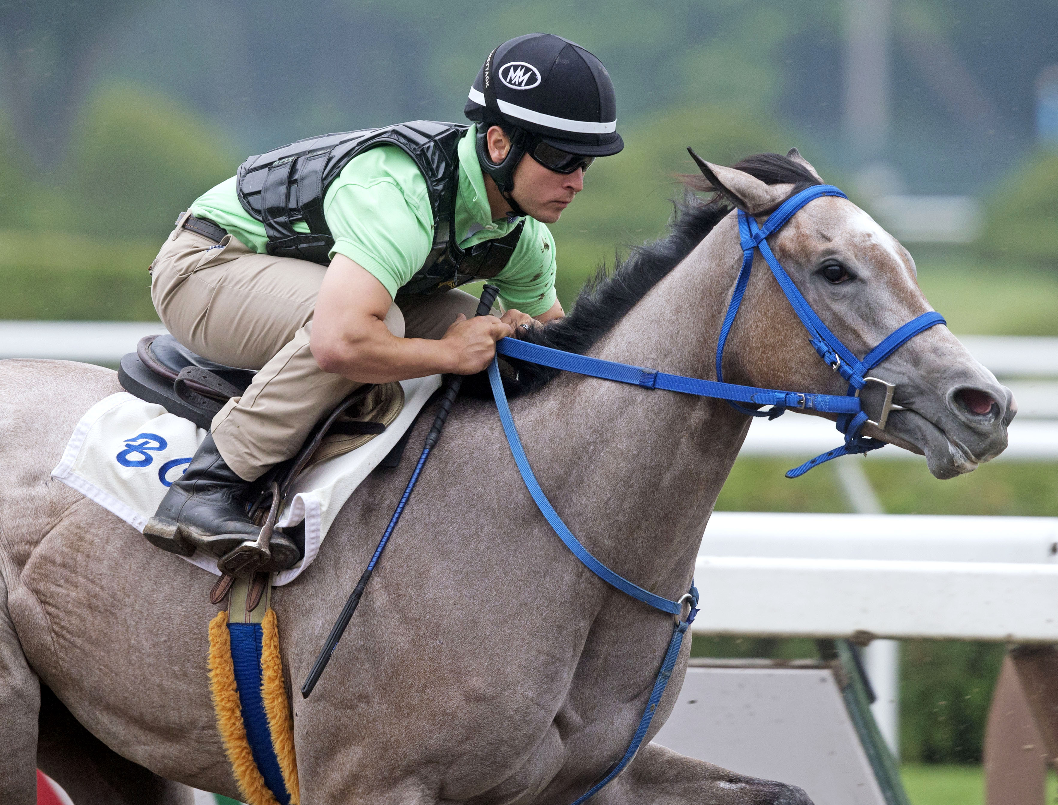 Vivian Da Blling trains at Saratoga on Aug. 2